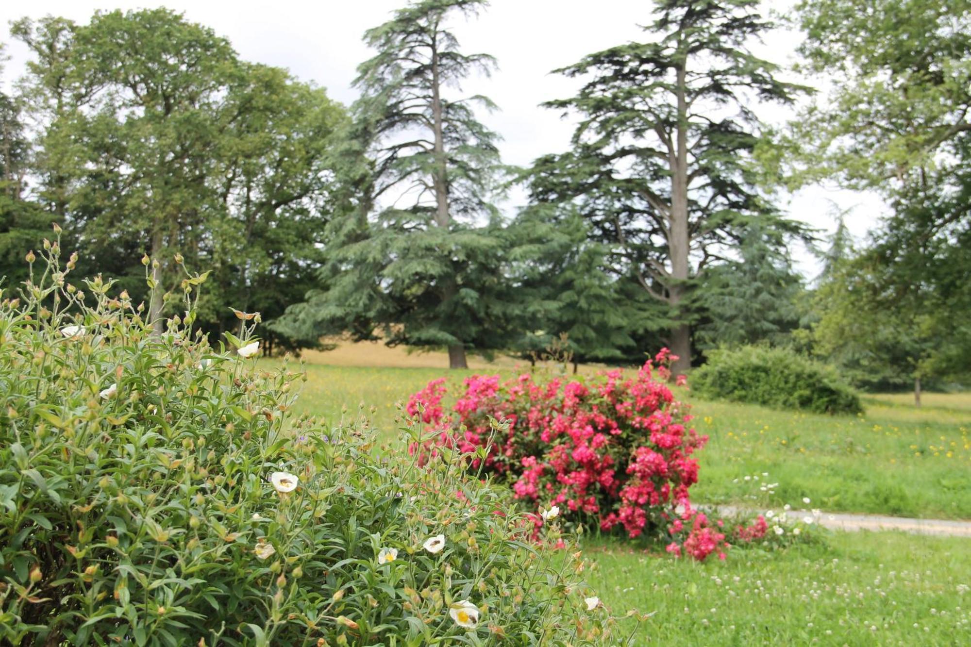 Le Pin  Domaine Des Roches Blanches 빌라 외부 사진